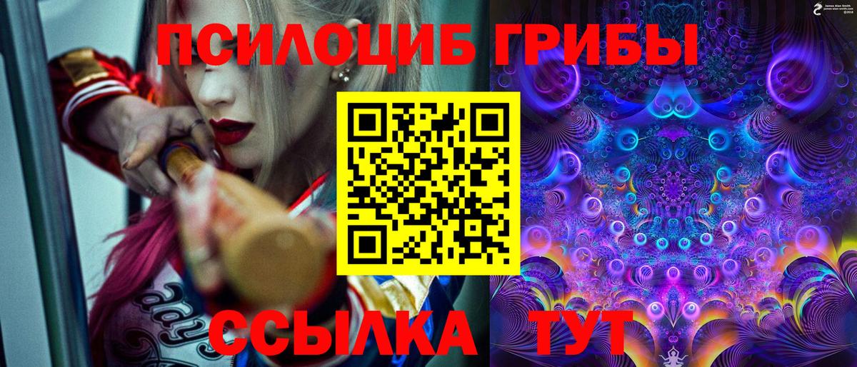 Псилоцибиновые грибы Cubensis Ревда