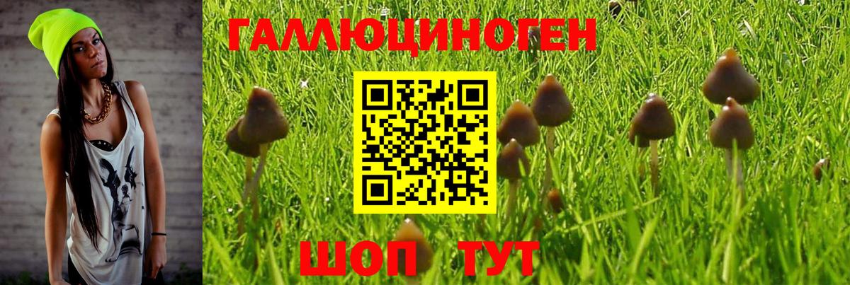 Ревда  Галлюциногенные грибы Psilocybine cubensis  Псилоцибиновые грибы Cubensis  Вход с VPN 